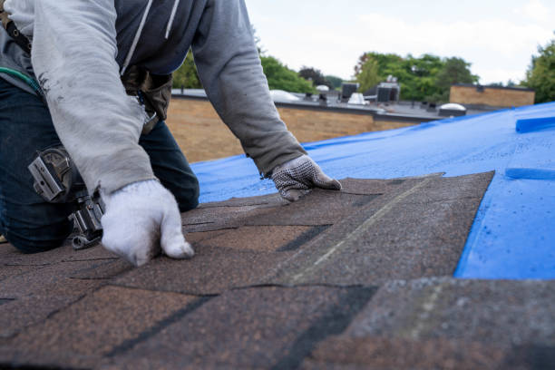 Best New Roof Installation  in Lake Zurich, IL