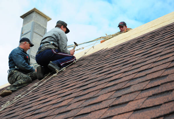 Best Roofing Contractor Near Me  in Lake Zurich, IL